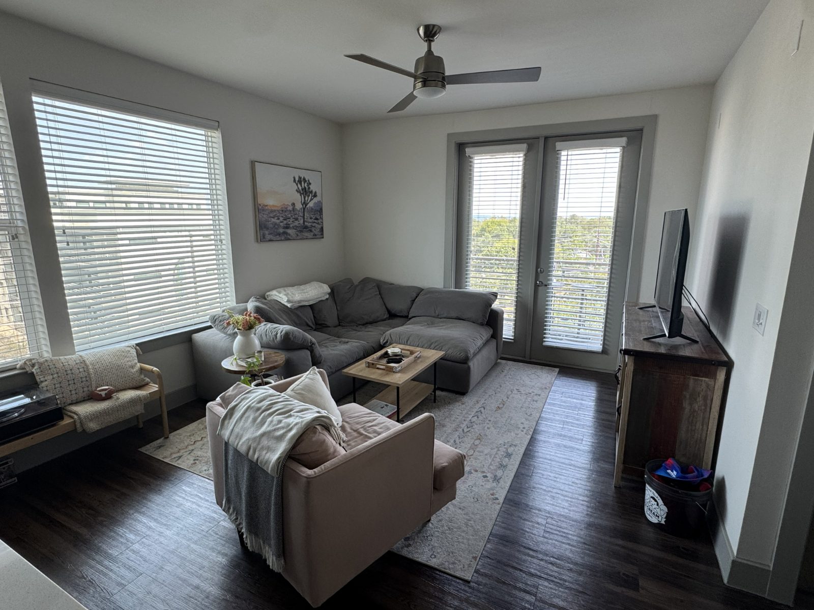 1BR in South Lamar — Sep–Feb, photo 2