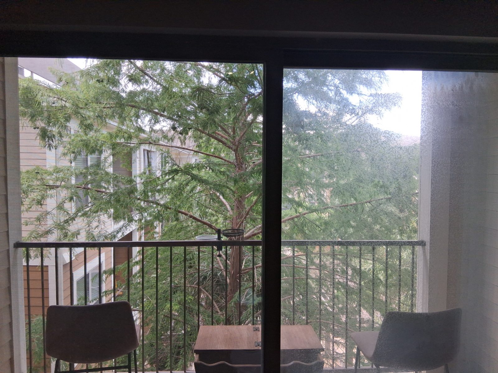 1BR in Austin, w/d in unit