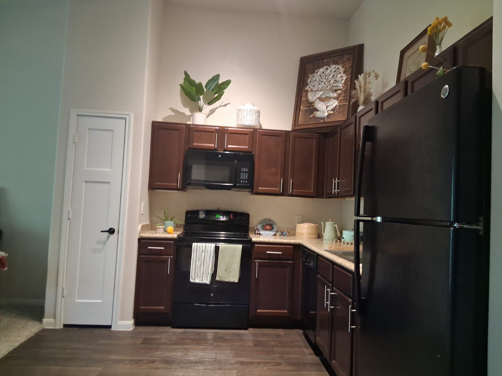 1BR in Austin, w/d in unit — photo 3